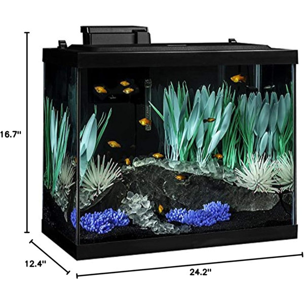 Latitude Run® Colorfusion Aquarium 20 Gallon Fish Tank Kit